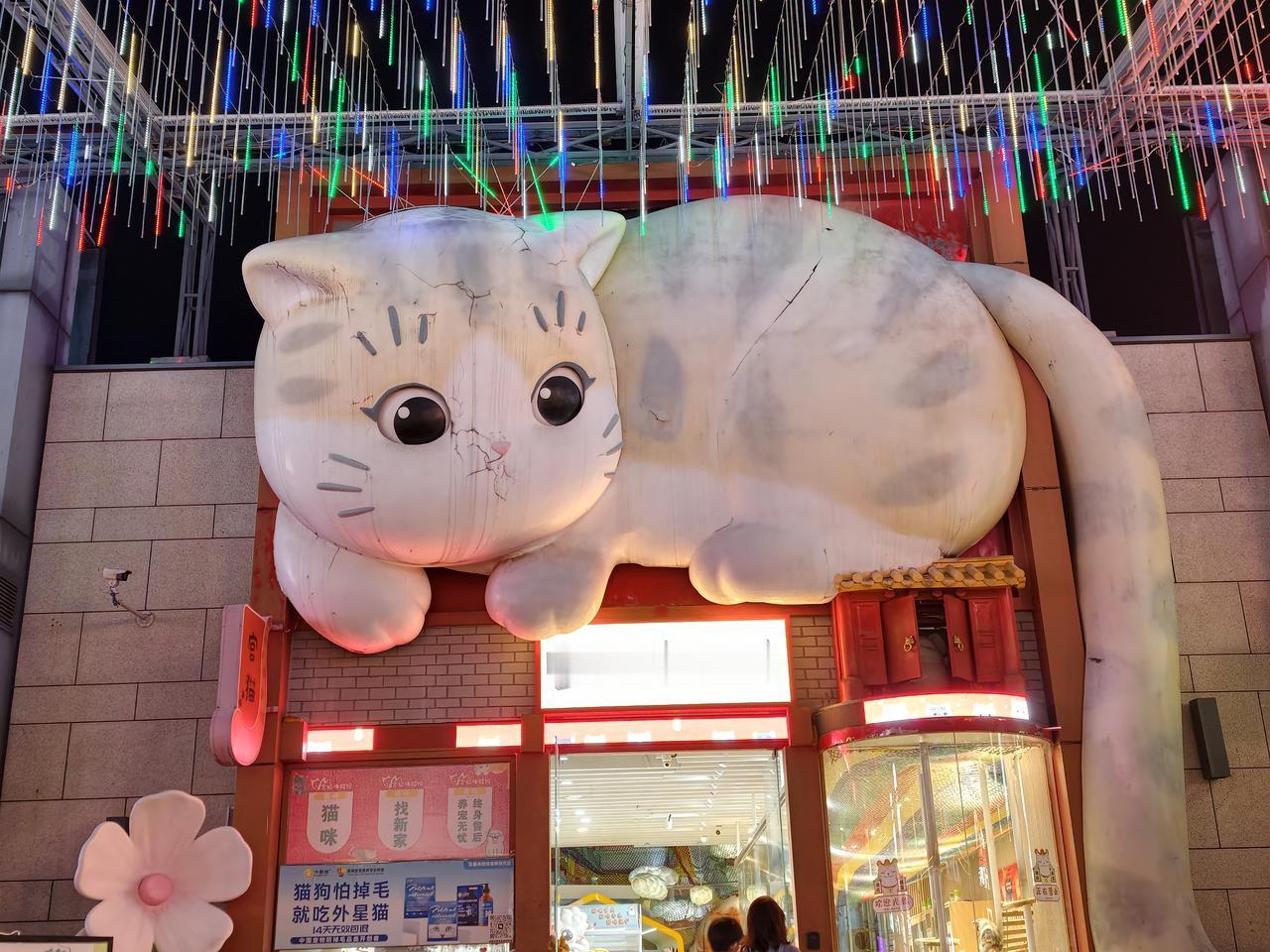 雨后的五棵松，星光记忆！！