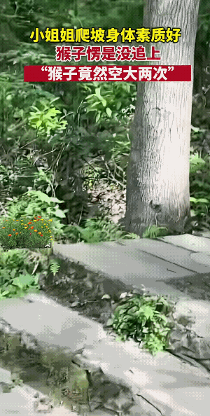 她！比猴还猴。
她的潜能，此时此刻，她是都发出来了，猕猴它紧追慢赶，愣是没有追上