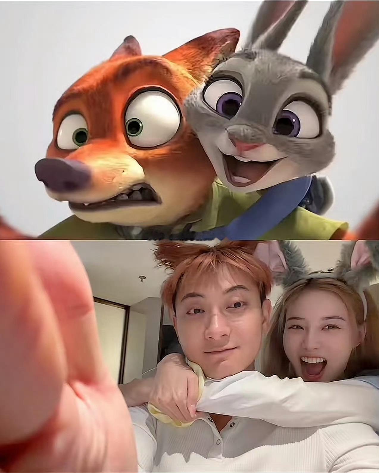 黄子韬徐艺洋COS尼克朱迪韬哥你在抽象的赛道还在持续发力，但是跟徐艺洋cos尼克