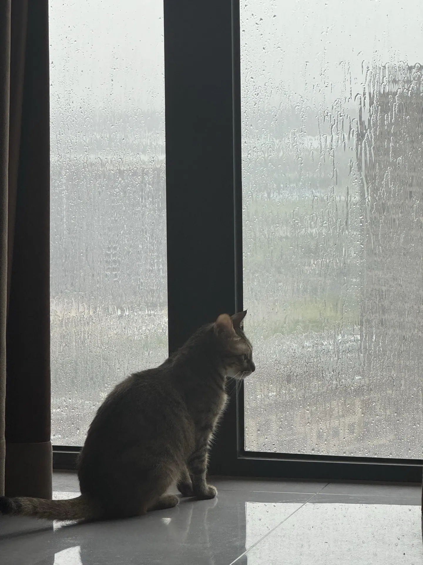 我很喜欢这段 北欧还流传着这样的传说 如果因为误会离开心爱的人 他的世...