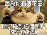 青岚热聊汽车
