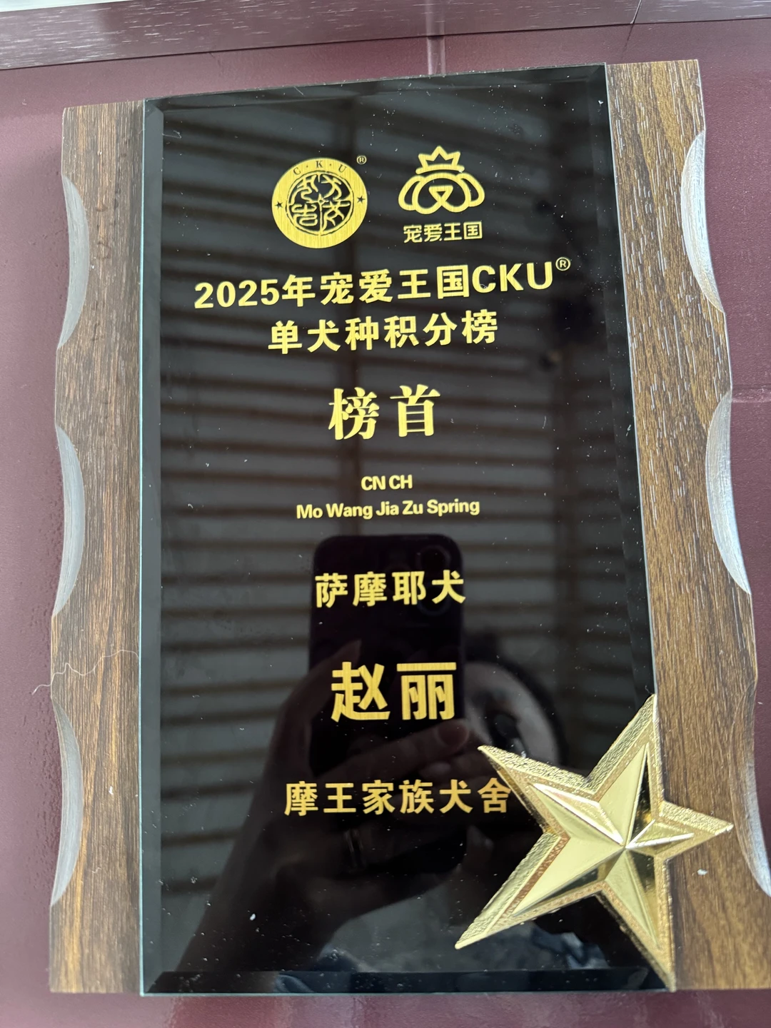 CKU 20周年庆典的颁奖礼，摩王家族萨摩耶再获2025年萨摩耶犬种排...