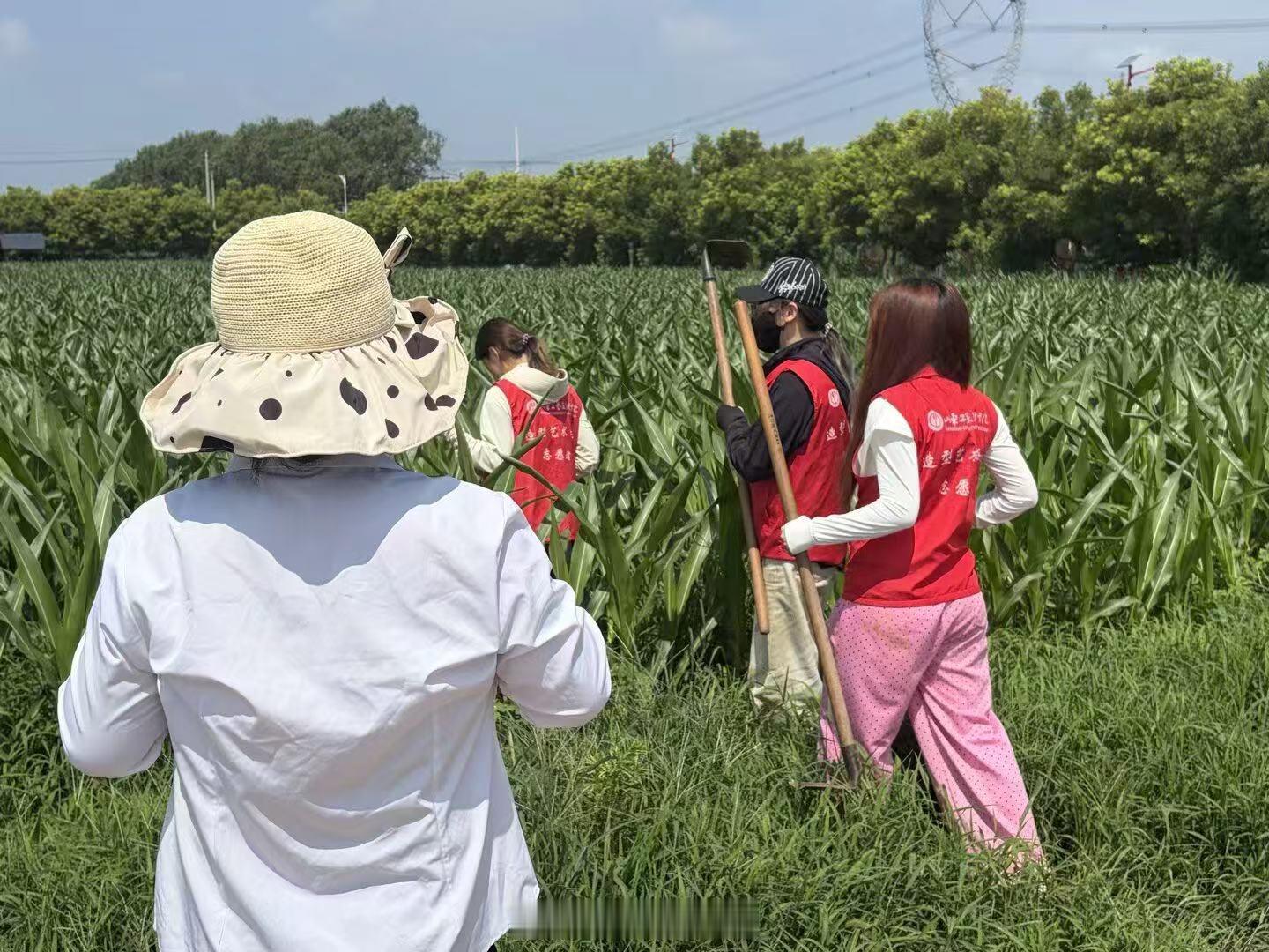 【以美绘齐鲁，耕育少年心】大学生三下乡暑期社会实践2026暑假三下乡社会实践  