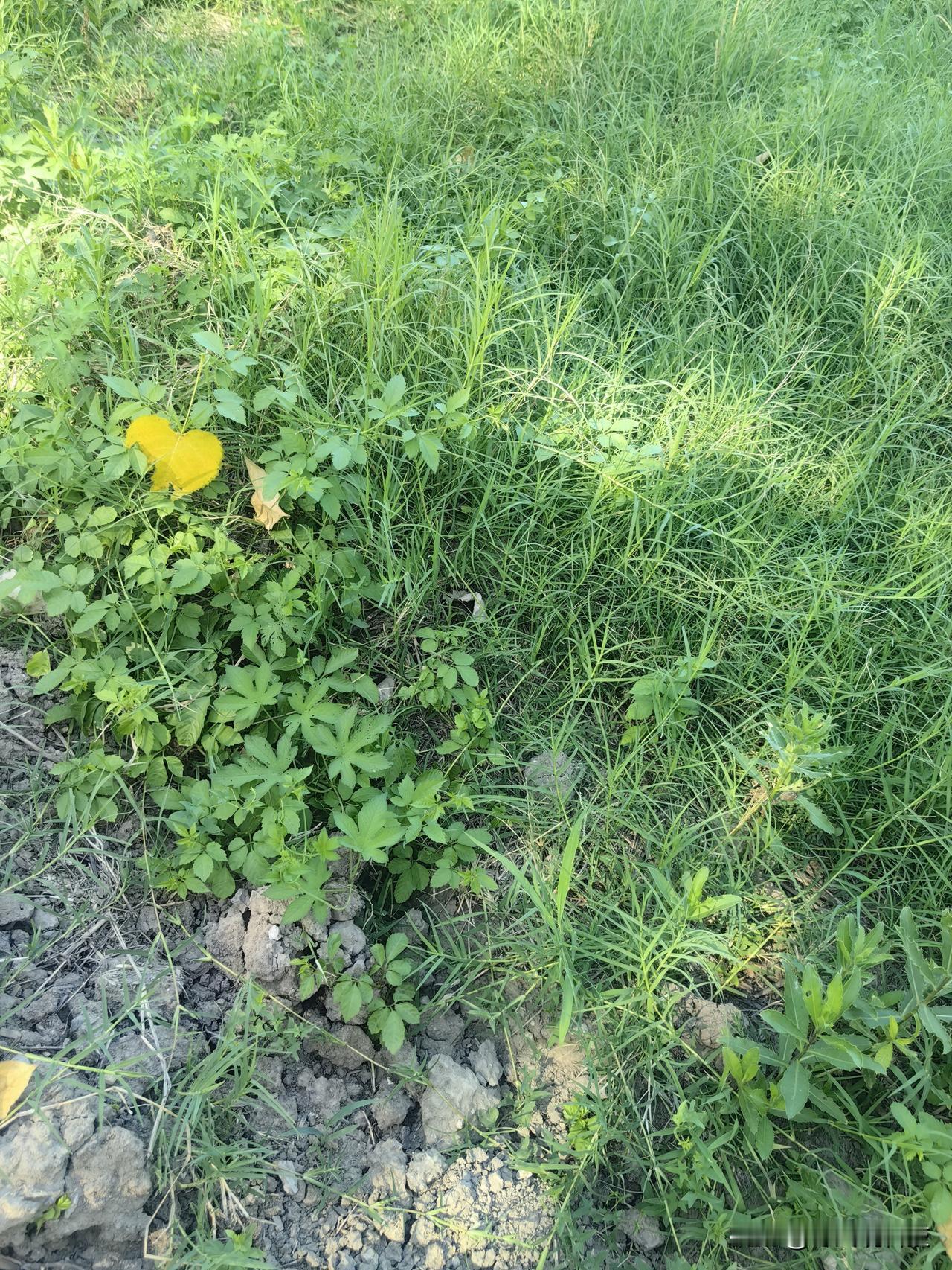 新的希望
一切都在路上