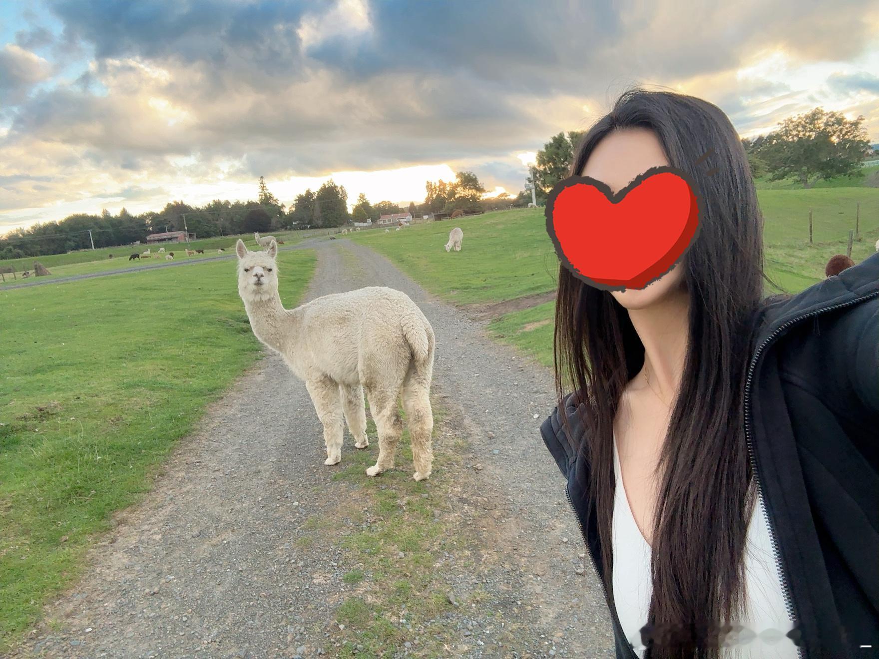 哥哥拍的 我拍的🥰🥰🥰地球超新鲜2收官刘宇宁地球超新鲜 ​​​