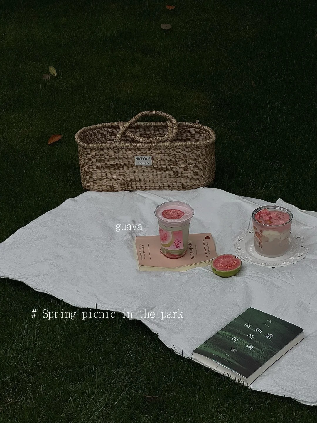 交换你的春日野餐照片🧺……