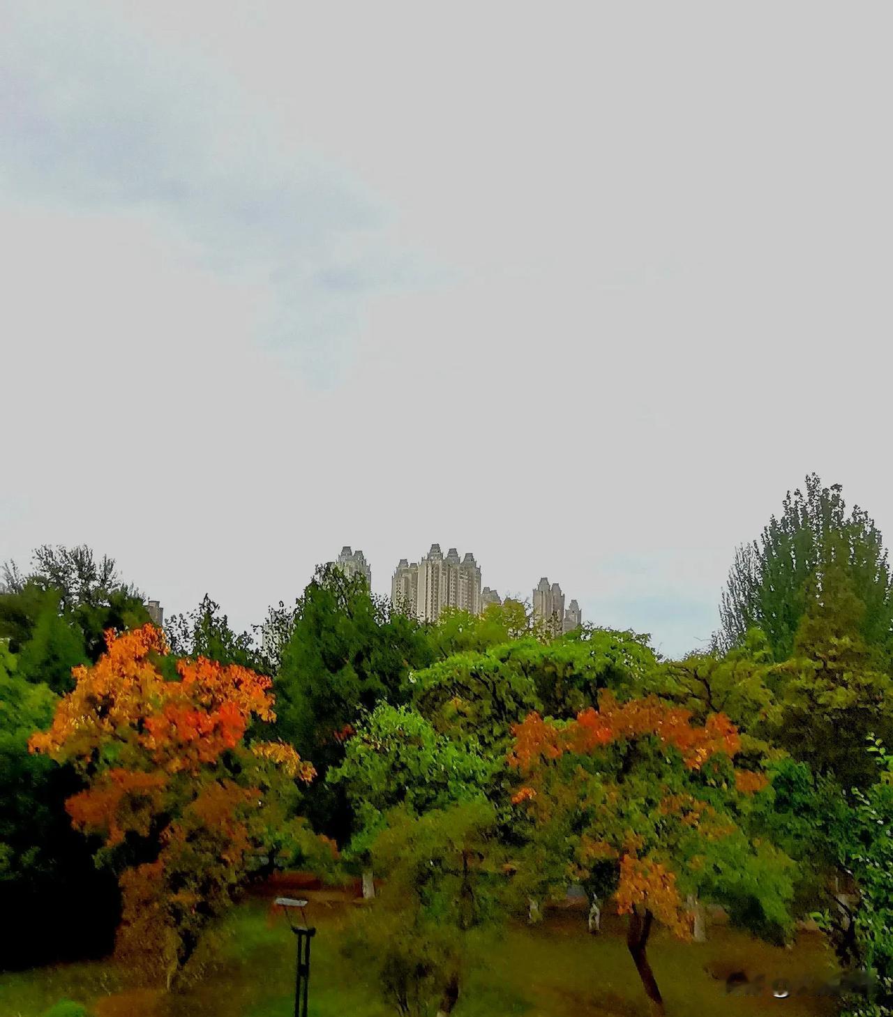 （原创）
国庆长假第六天  
大同阴天有小雨 空气质量很好 温度适宜 
今天大同