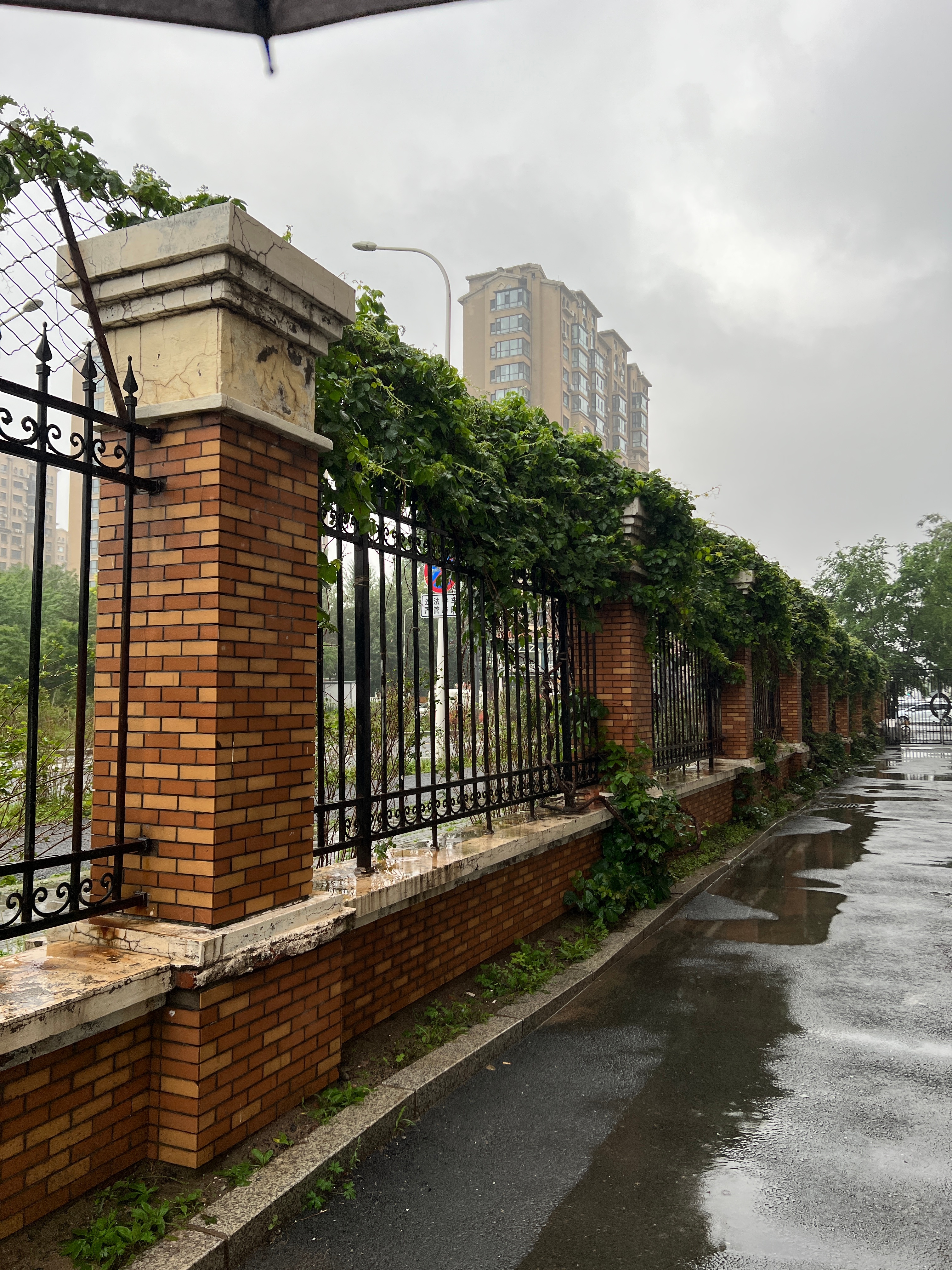 最近每天都在下雨，家里都潮潮的，衣服也潮潮的，不像是在大东北了，我的晴天什么时候