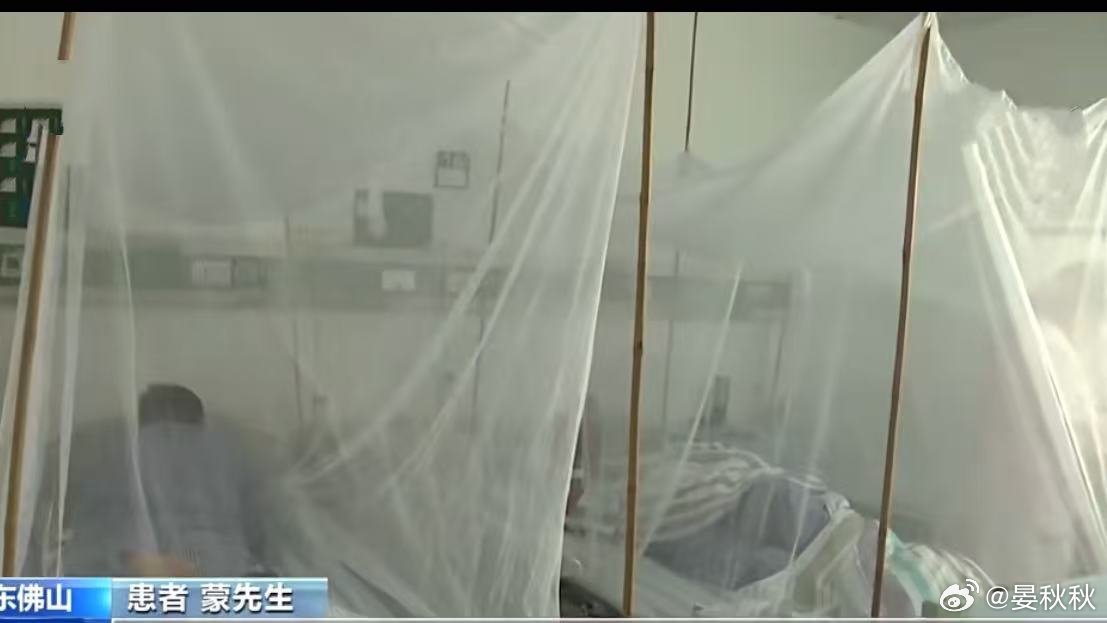2659例广东佛山的基孔肯雅热疫情，还在激增。从7月8日发现首例输入引发的确诊病