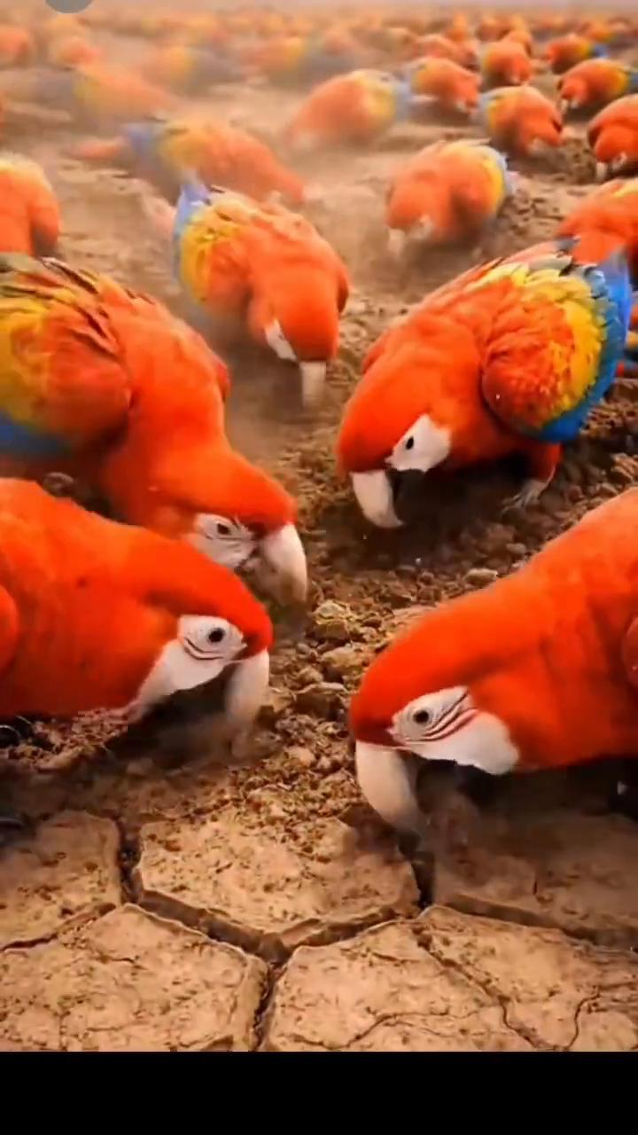 来生还要再想。