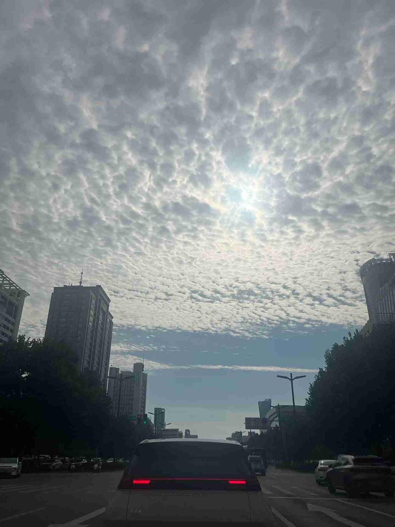 我的今日状态：😁轻松愉快
我这里的天气：☀️晴天