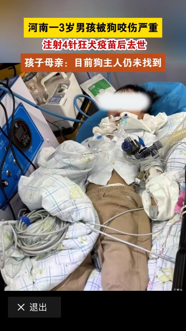 看到毒死狗的那位大叔被判四年有期徒刑，这些原告感觉为他们的狗狗讨回了一个公道，如