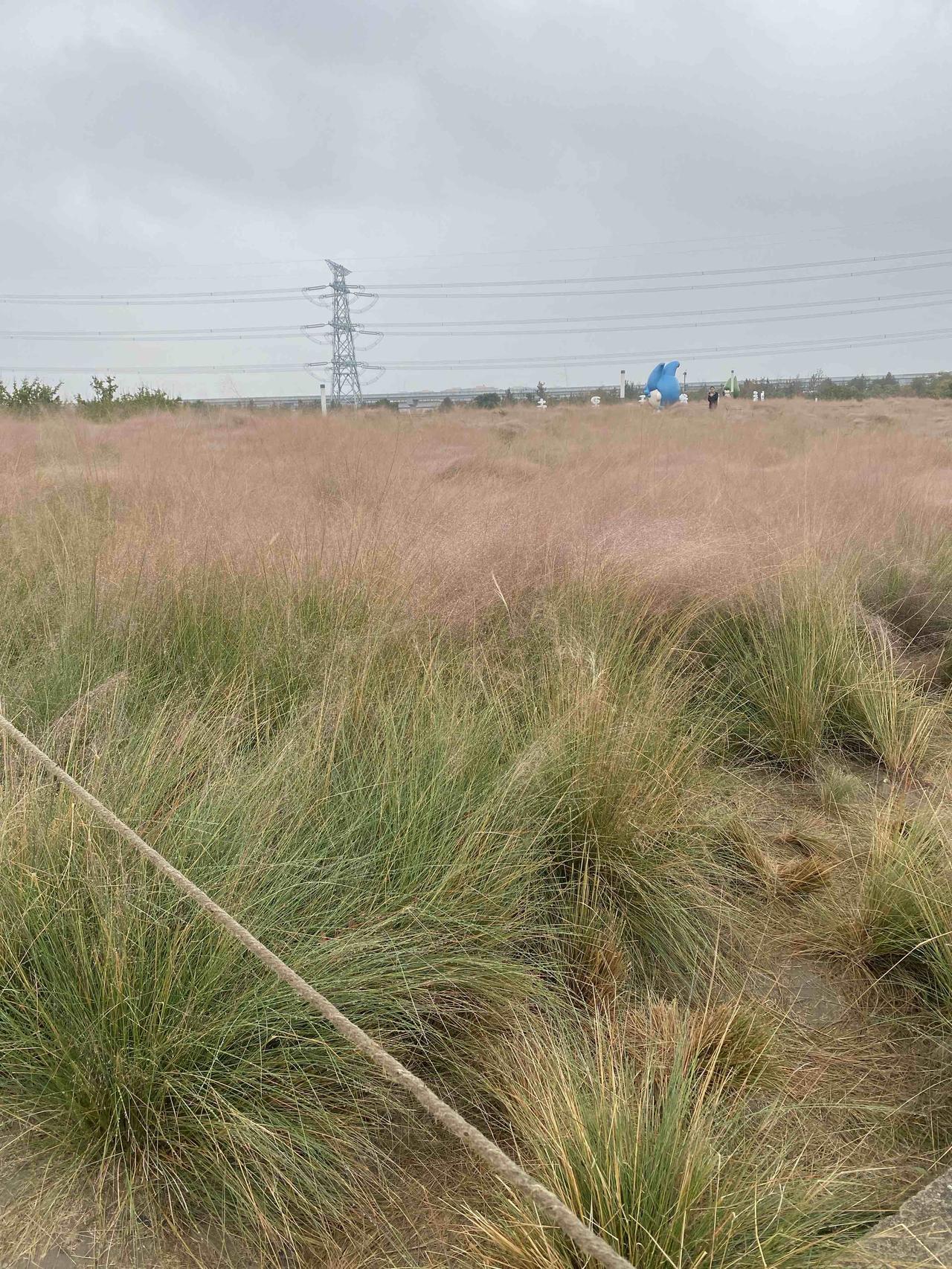今天给心情放个假，去野外撒个野！

早上睡了个好觉，七点半才醒，周末的早上真是好