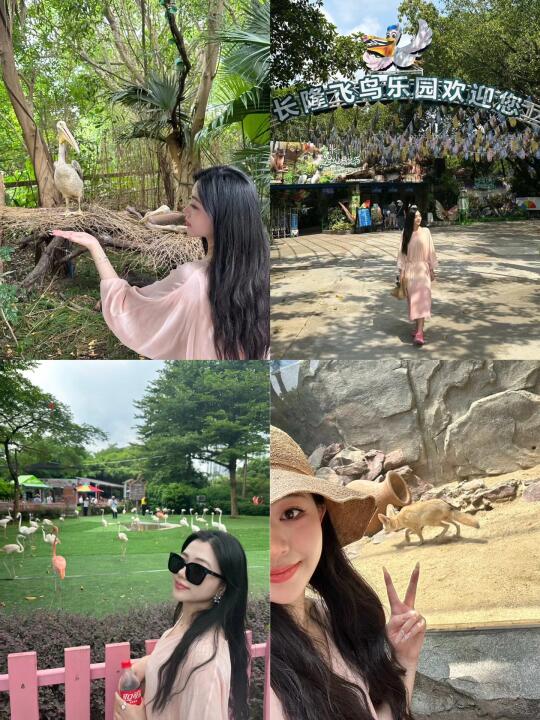 别只知道长隆动物园🐊飞鸟乐园才是亲子宝藏