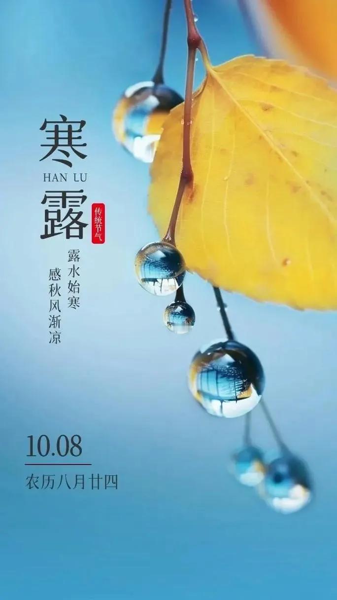 江南细雨润秋冷，缘是今天寒露来。。。。
#一场秋雨寒露返#

无眠晨起寒意凉，单