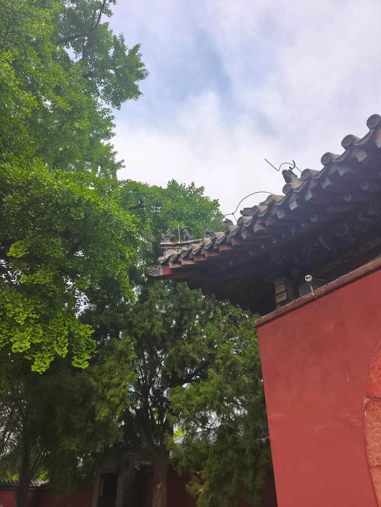 现实就是如此！这就是活生生的现实！
家里经济困难，想出去打工，可是父母需要照顾，