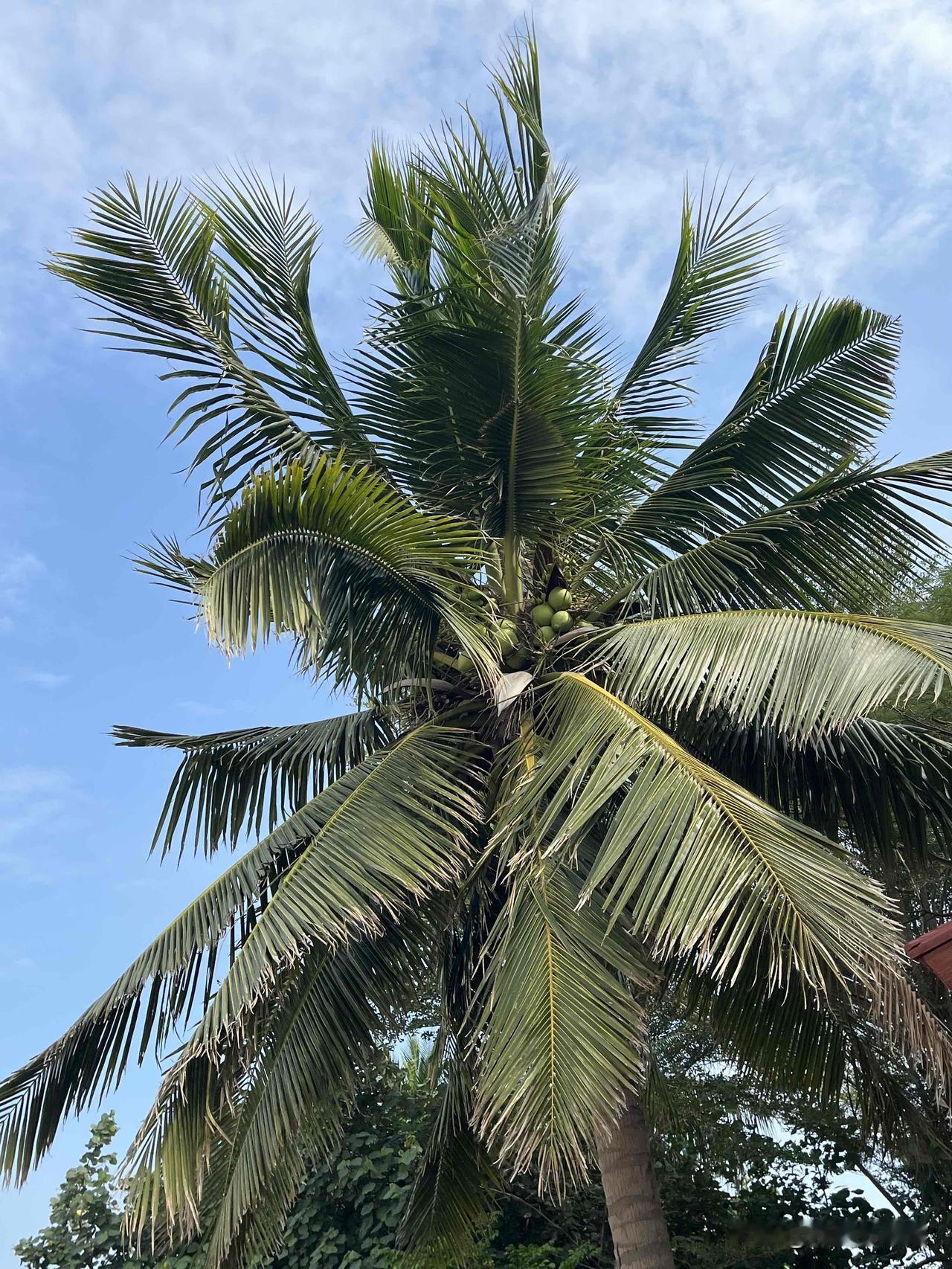 突然发现，中国大部分人认知的冬日，是北方的冬日，南方缺少话语权，这是不全面的。