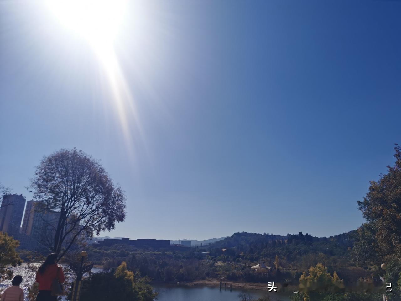 晒图笔记大赛冬日暖阳