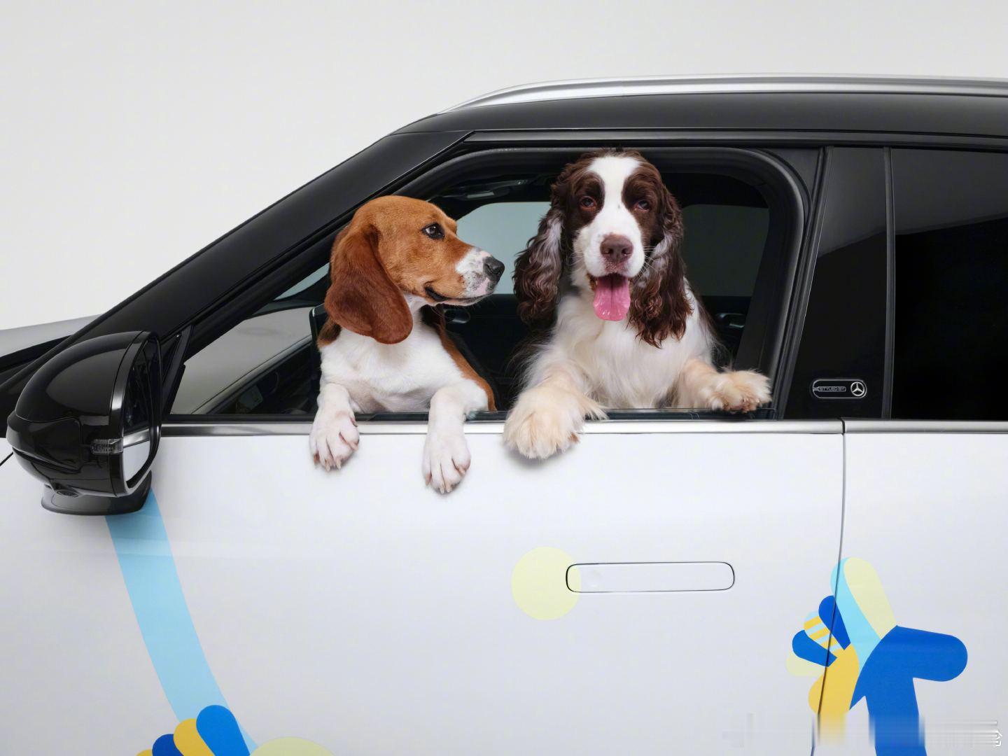 我平时带毛孩子出门的标准就是：不能掉链子！有一起，给予狗狗极致「宠」爱，舒适安全