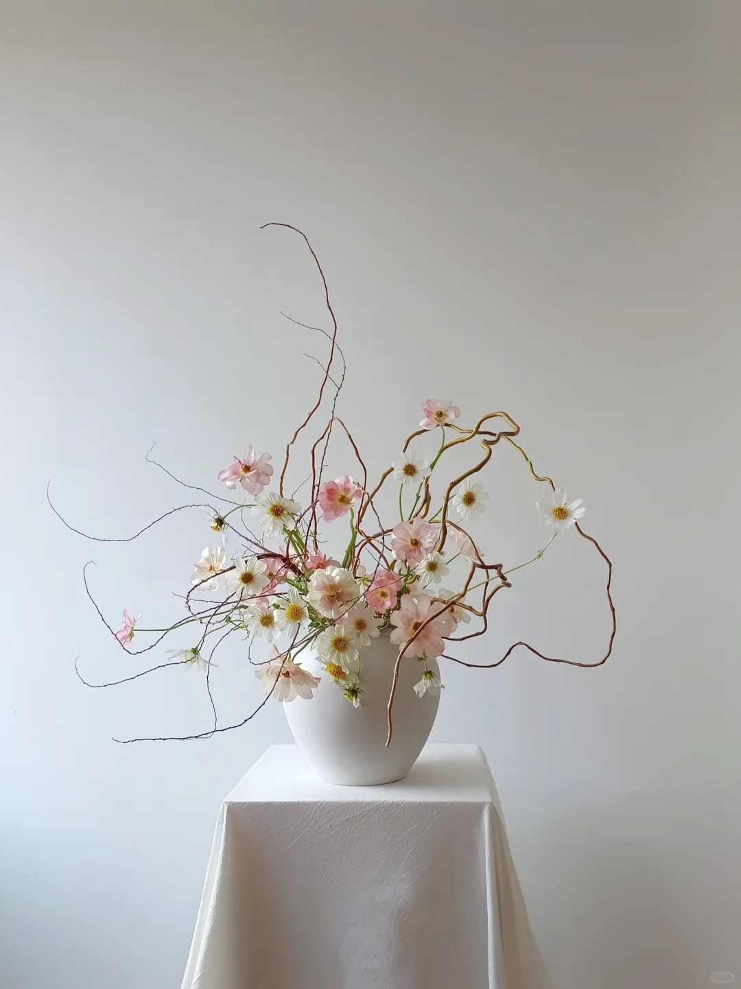 🌸🌼枯木逢春