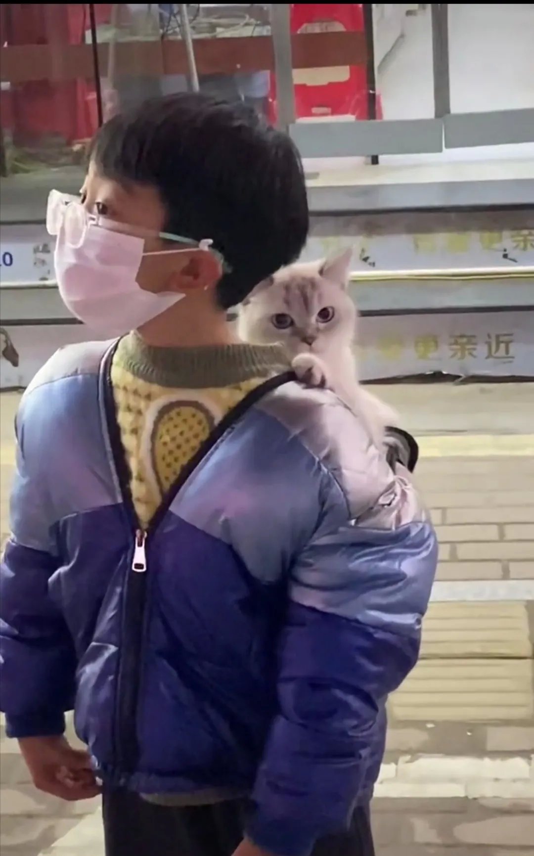 陪伴是最长情的告白，世间总有一个生命是为治愈你而来。