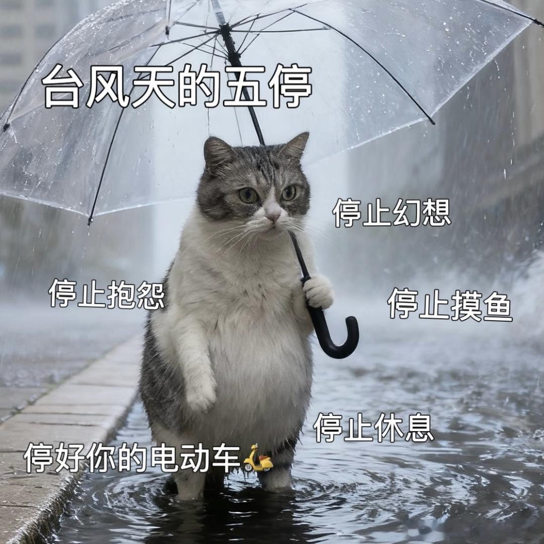 台风位置狂风暴雨席卷全城，急需物资根本不愿涉水出门。美团闪购覆盖日用、宠物、食品