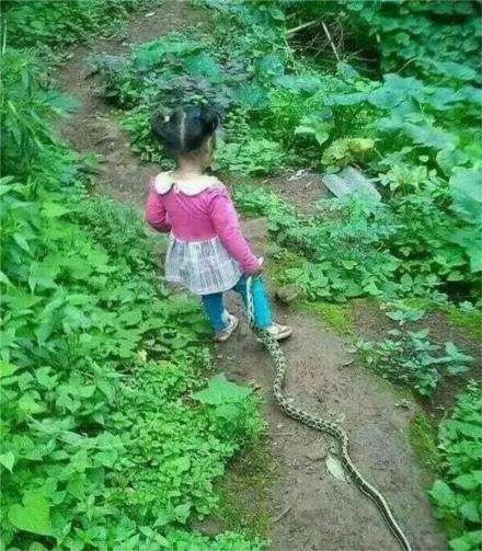 何止女汉子……