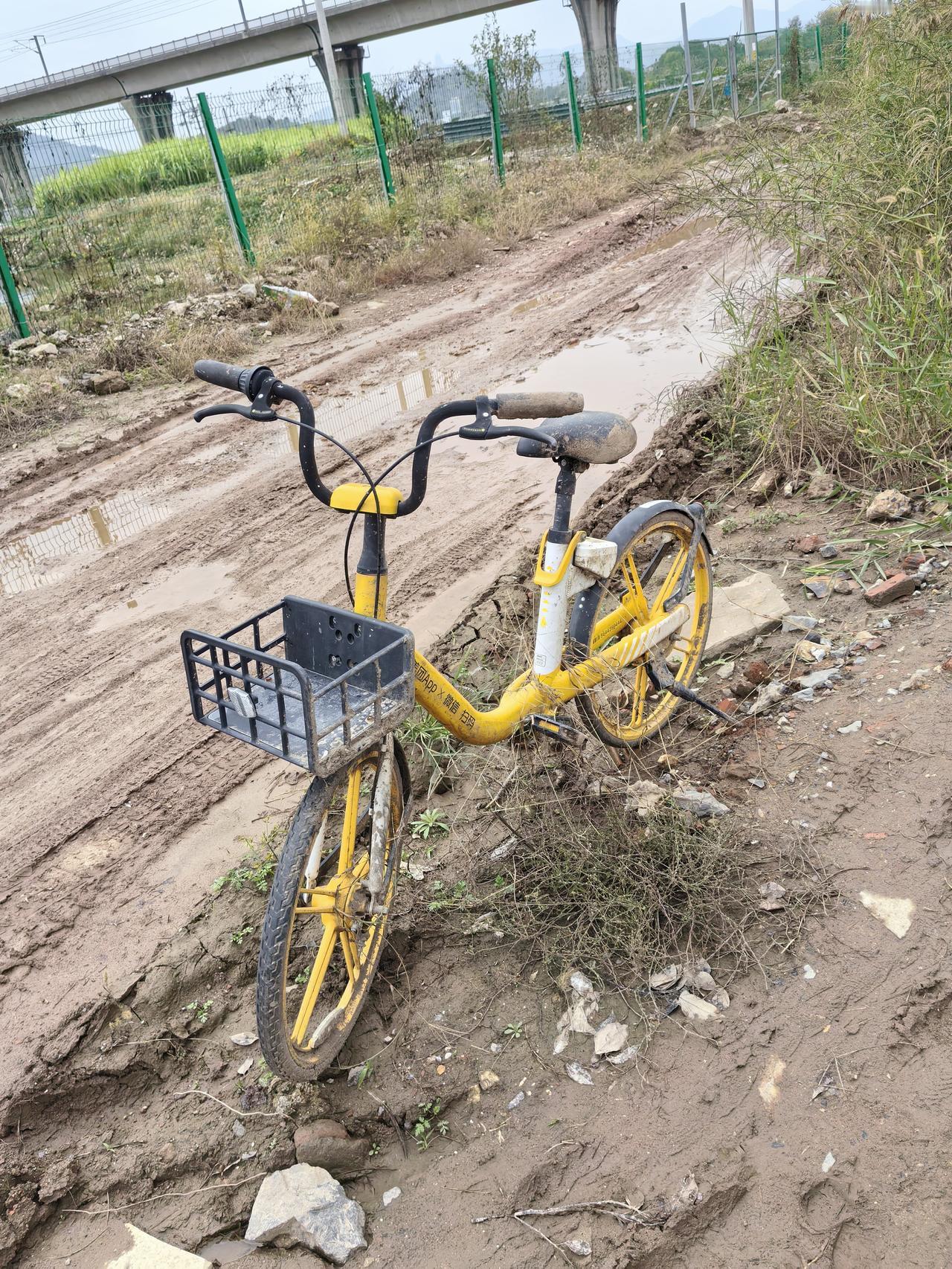 荒郊弃车见人心，道德底线定人生
 
近日在荒郊野外偶遇一辆被遗弃的共享单车，车身