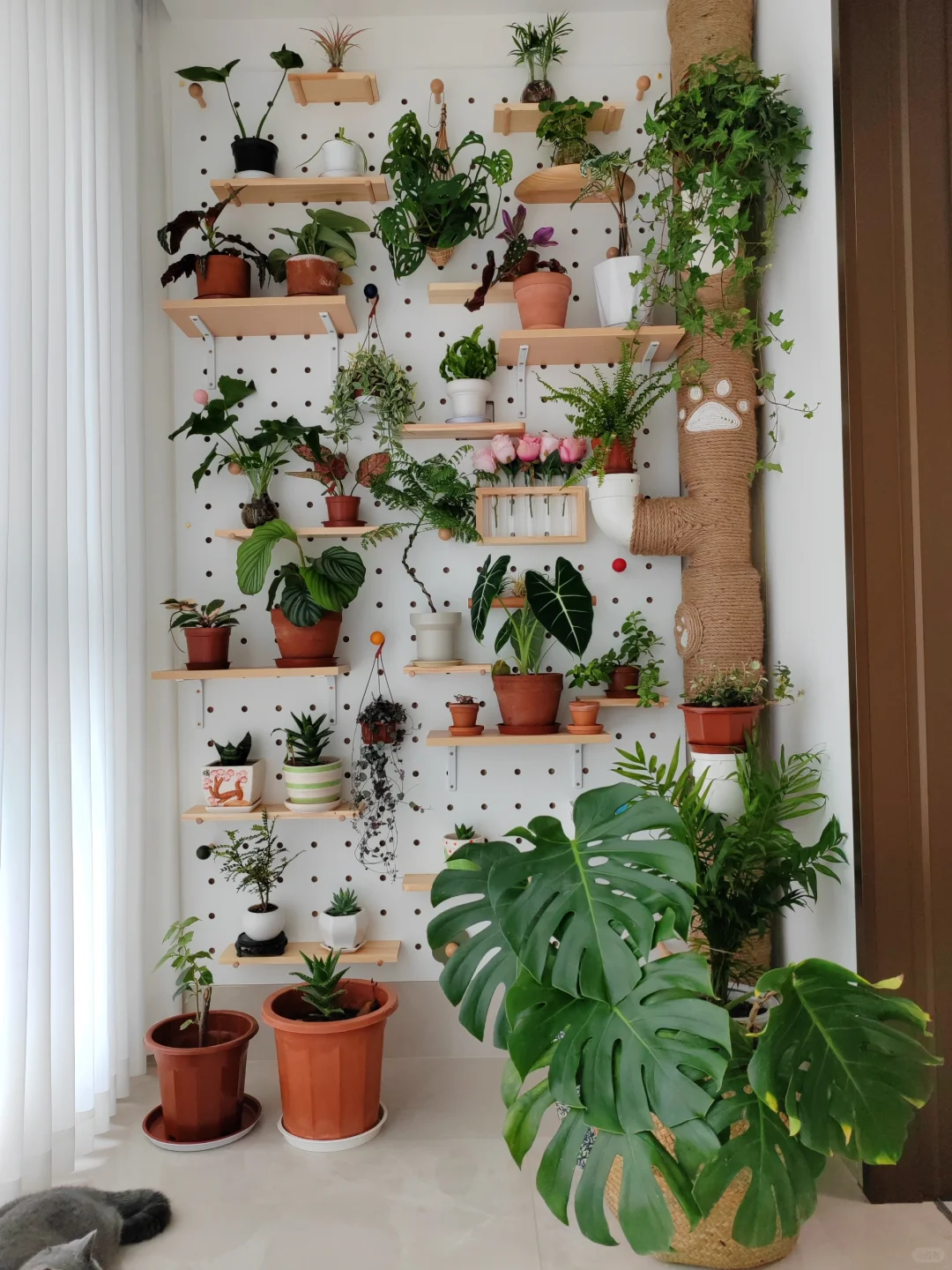 再也不用羡慕别人，洞洞板绿植墙我也拥有啦