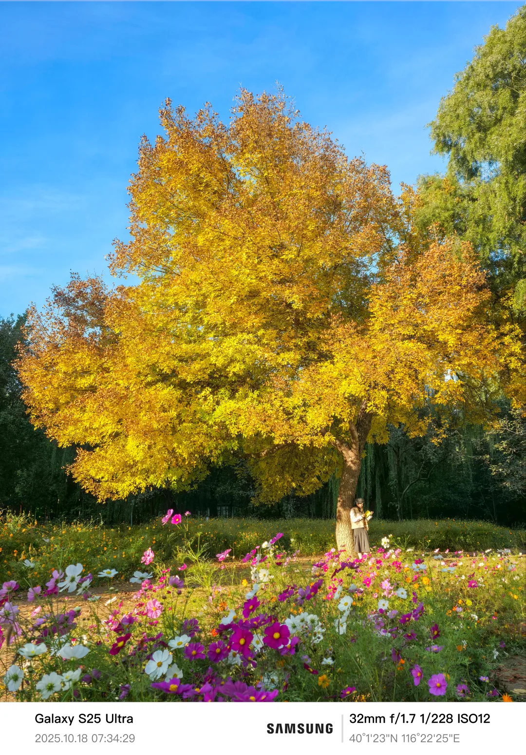 🍂这个深秋，我在北京拍到的10个绝美瞬间