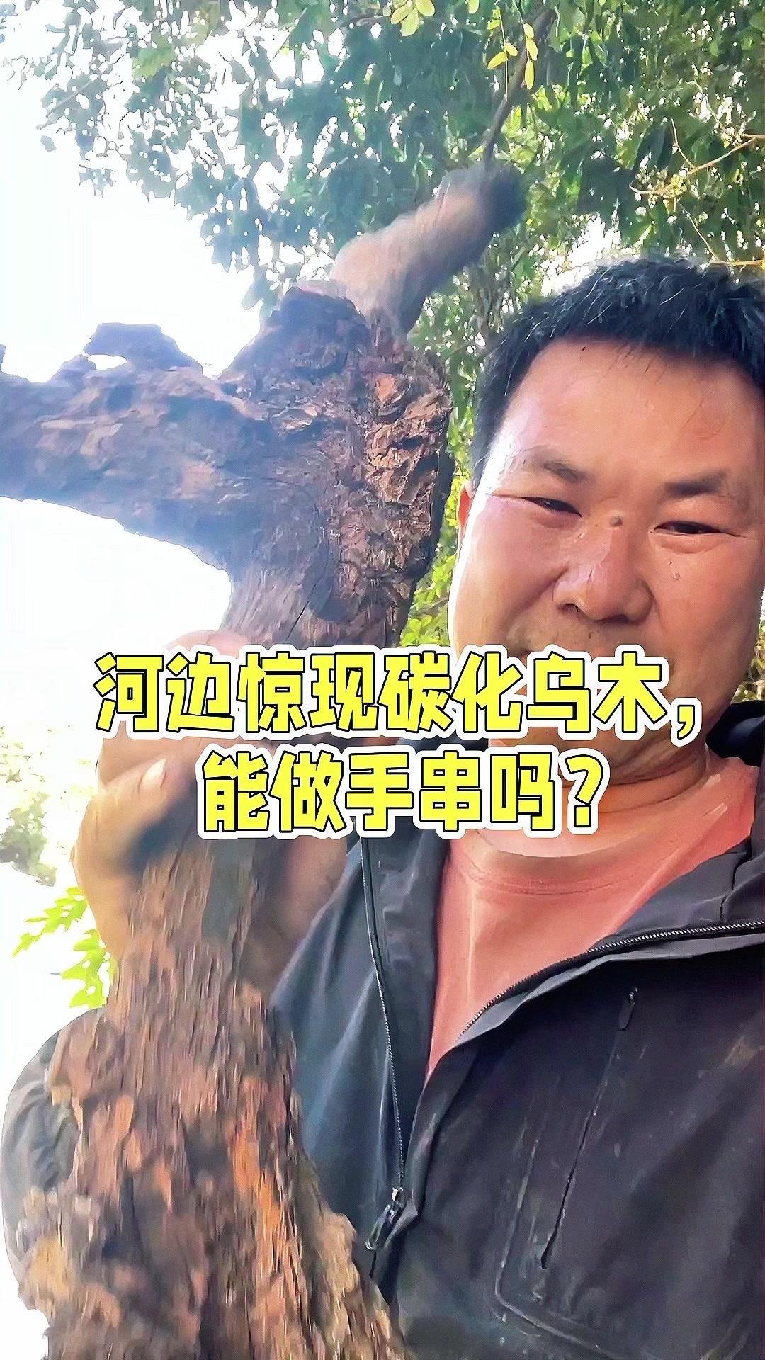 河边挖到"黑碳化木"！能车手串吗？🌳在河边散步发现一截奇怪的木头，看着像是被水