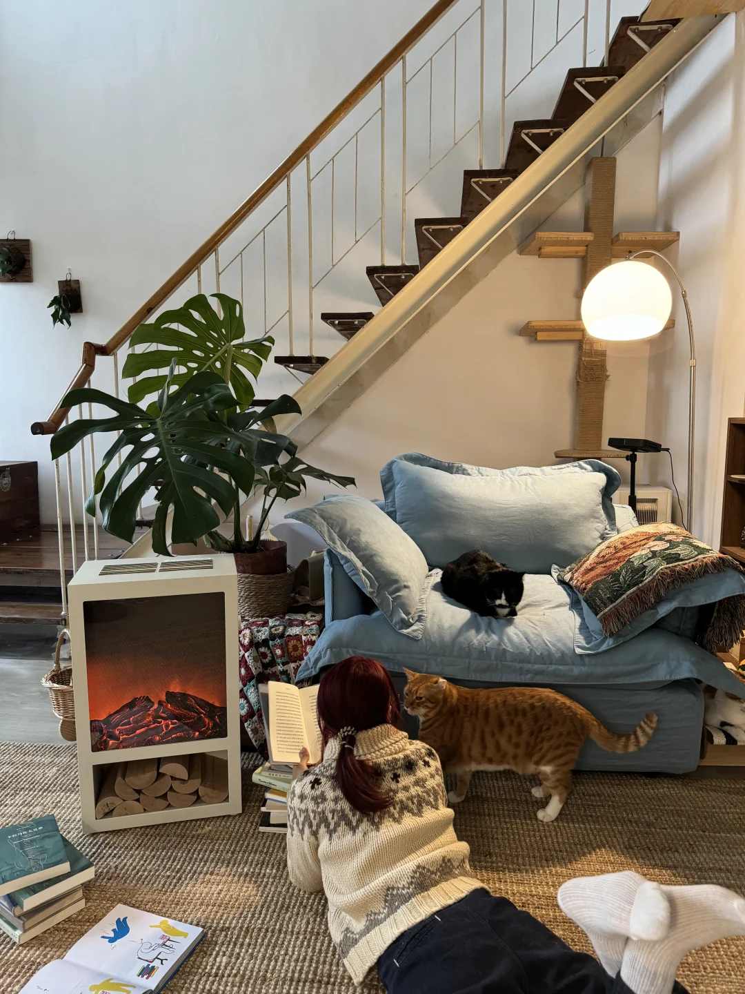 32岁这一年，你带着19只猫搬进空房子