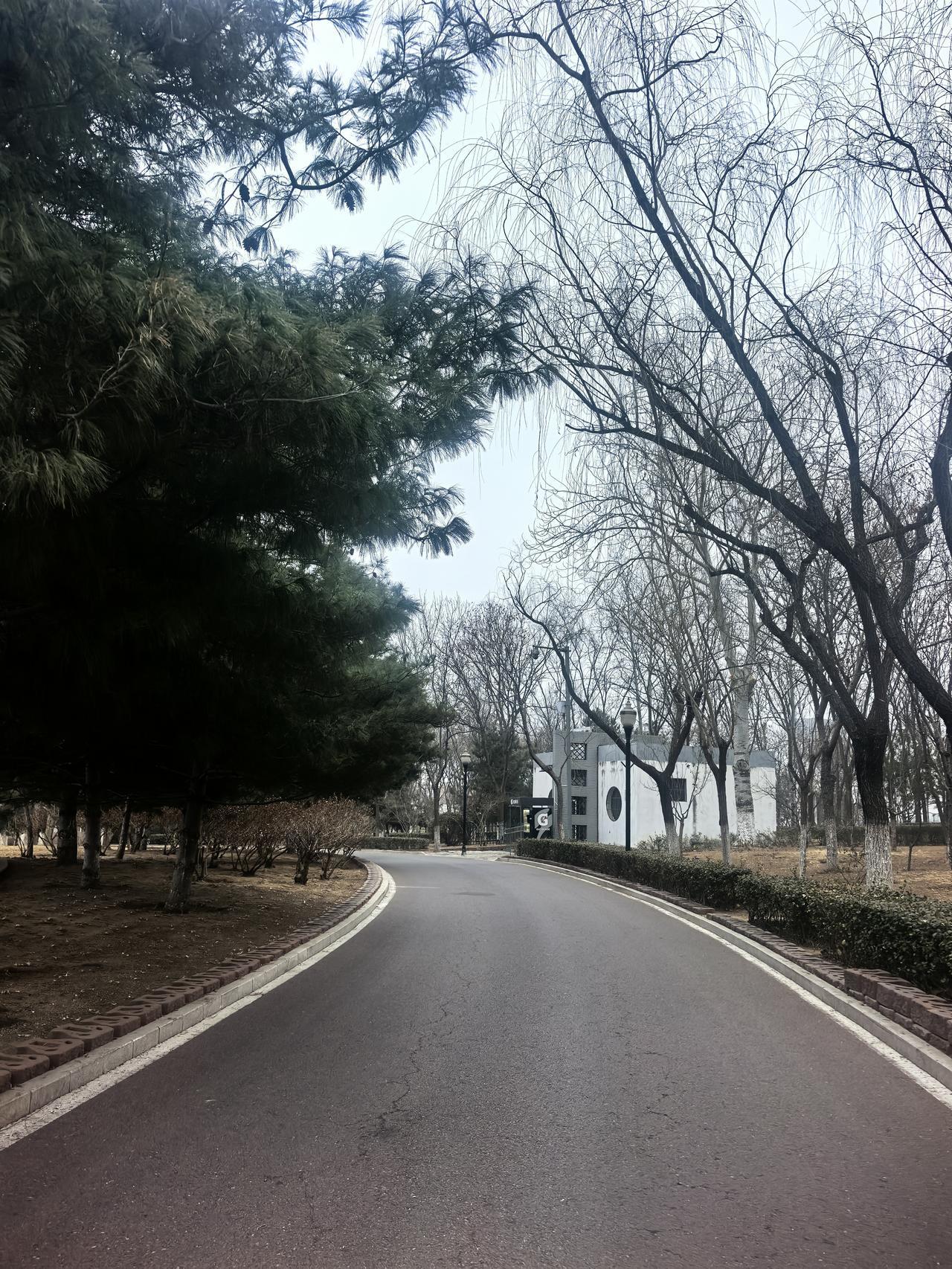 花园散步，是一种与自然亲密接触的美好体验。

走进花园，首先映入眼帘的是色彩斑斓