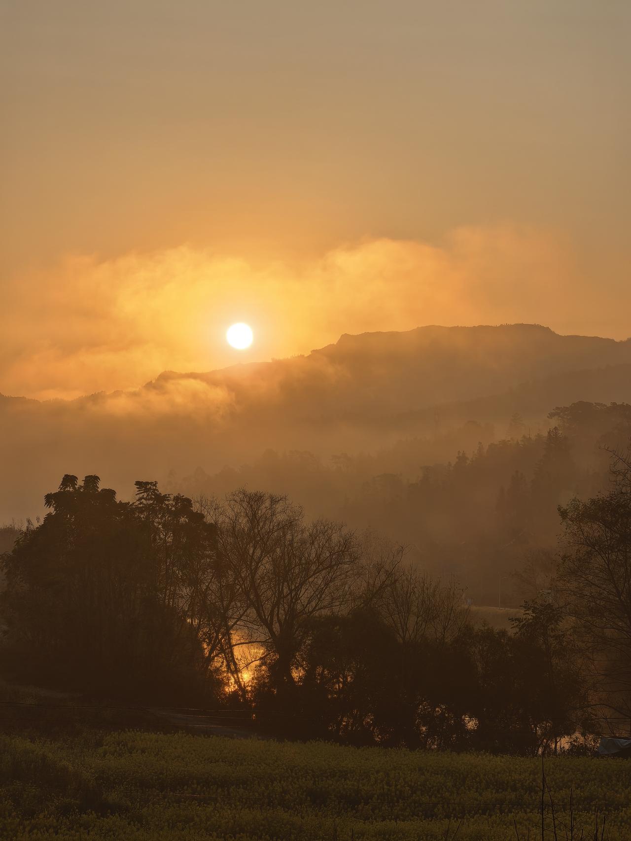 分享一张最近随手拍的照片春节晨曦