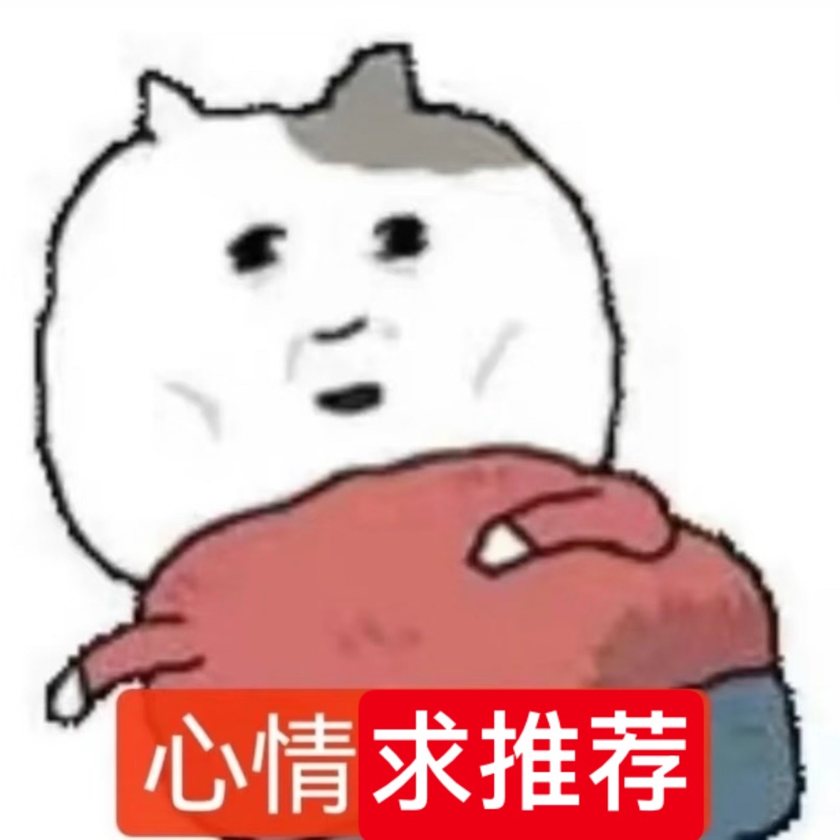 紧急推荐我茉莉奶白最好喝奶茶 