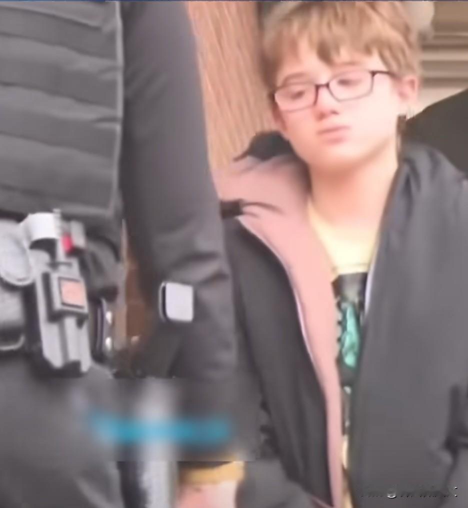 【11岁男孩开枪爆头养父，生日歌还没散场，枪声就响了！游戏成瘾背后谁该担责？】