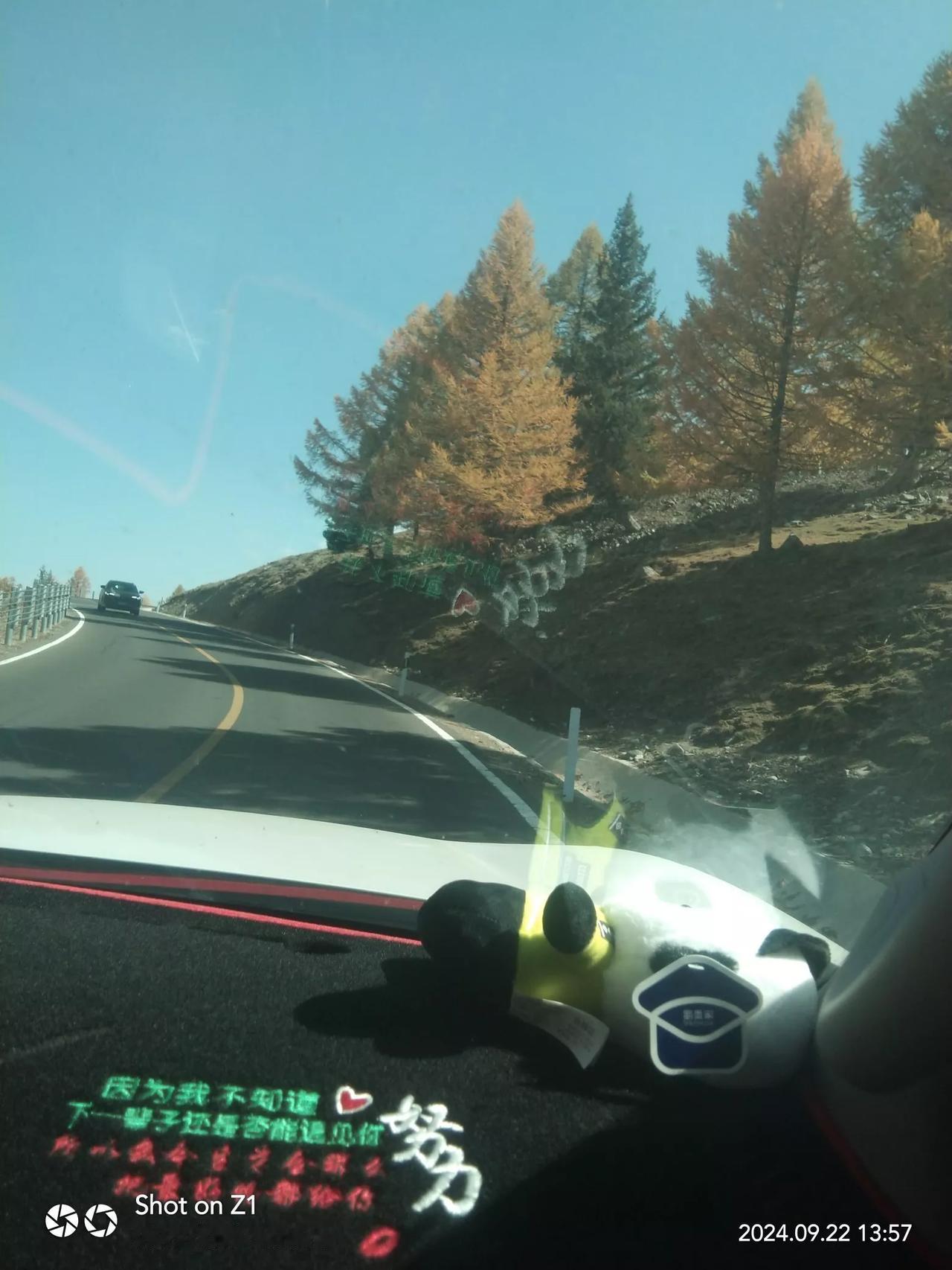 车窗外，秋叶飘零。