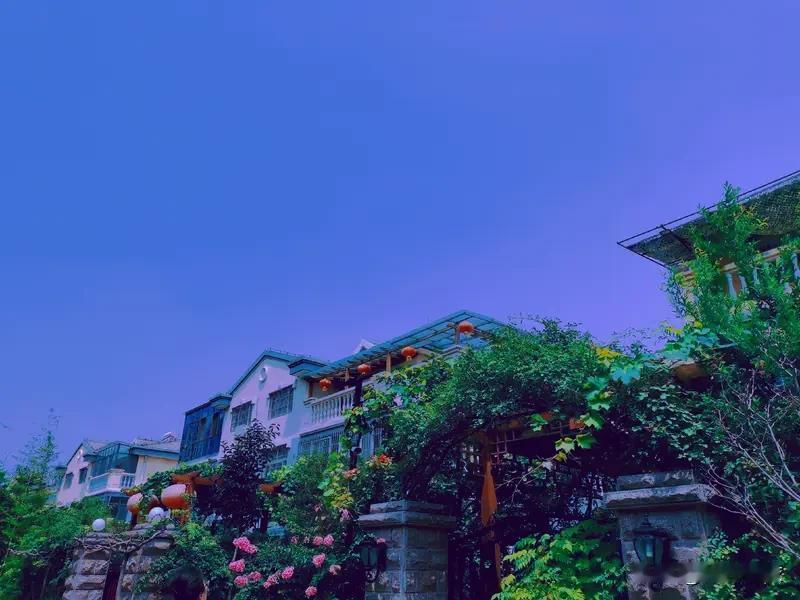 以前很多人房子绑定了教育、医疗，养老，但是现在的年轻人觉醒了。
1、绑定教育，现