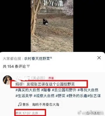 张艺谋在公园挖野菜天呐！大导演竟然在公园挖野菜哈哈哈 