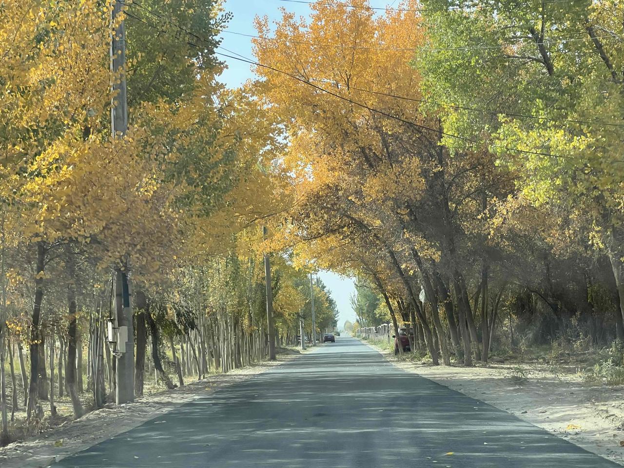 分享我这周有趣的事：
我这周去了玩天气很好真的很开心🥳