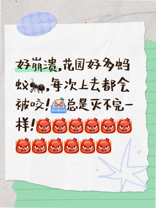 有彻底灭蚂蚁🐜的狠药吗！呜呜🥹