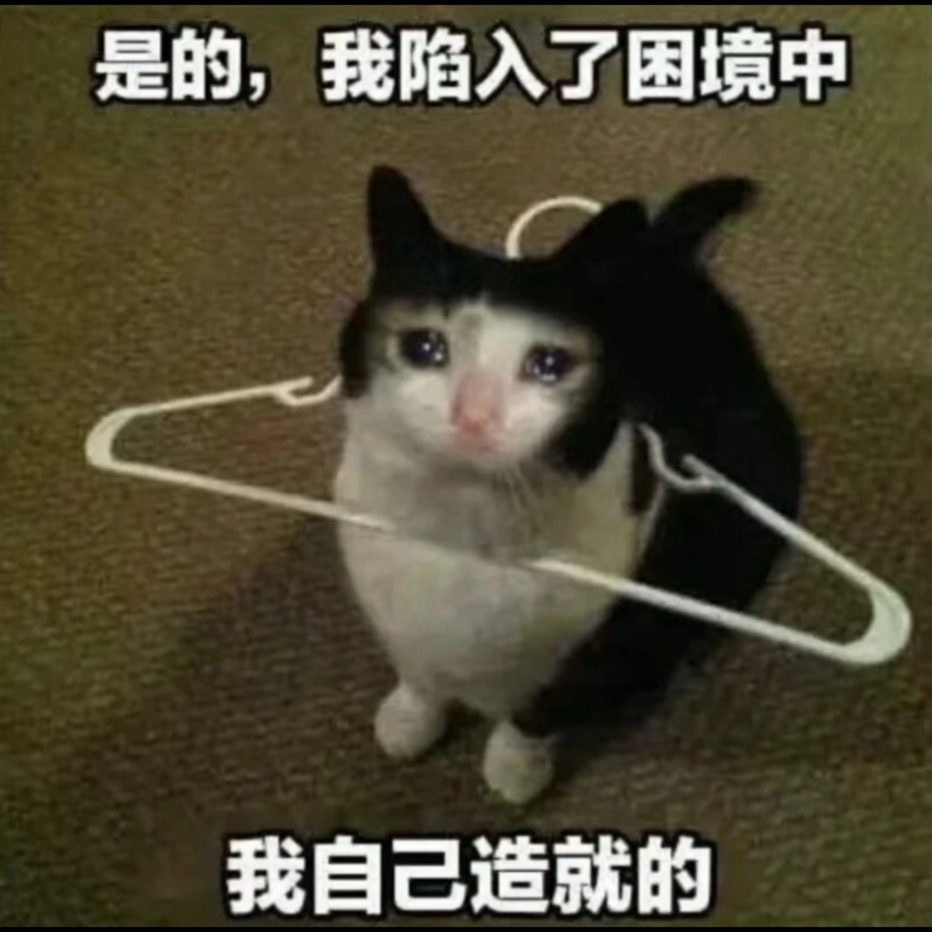 上4休1上5休2，本来是非常完美的一周，只可惜这周是单休啊