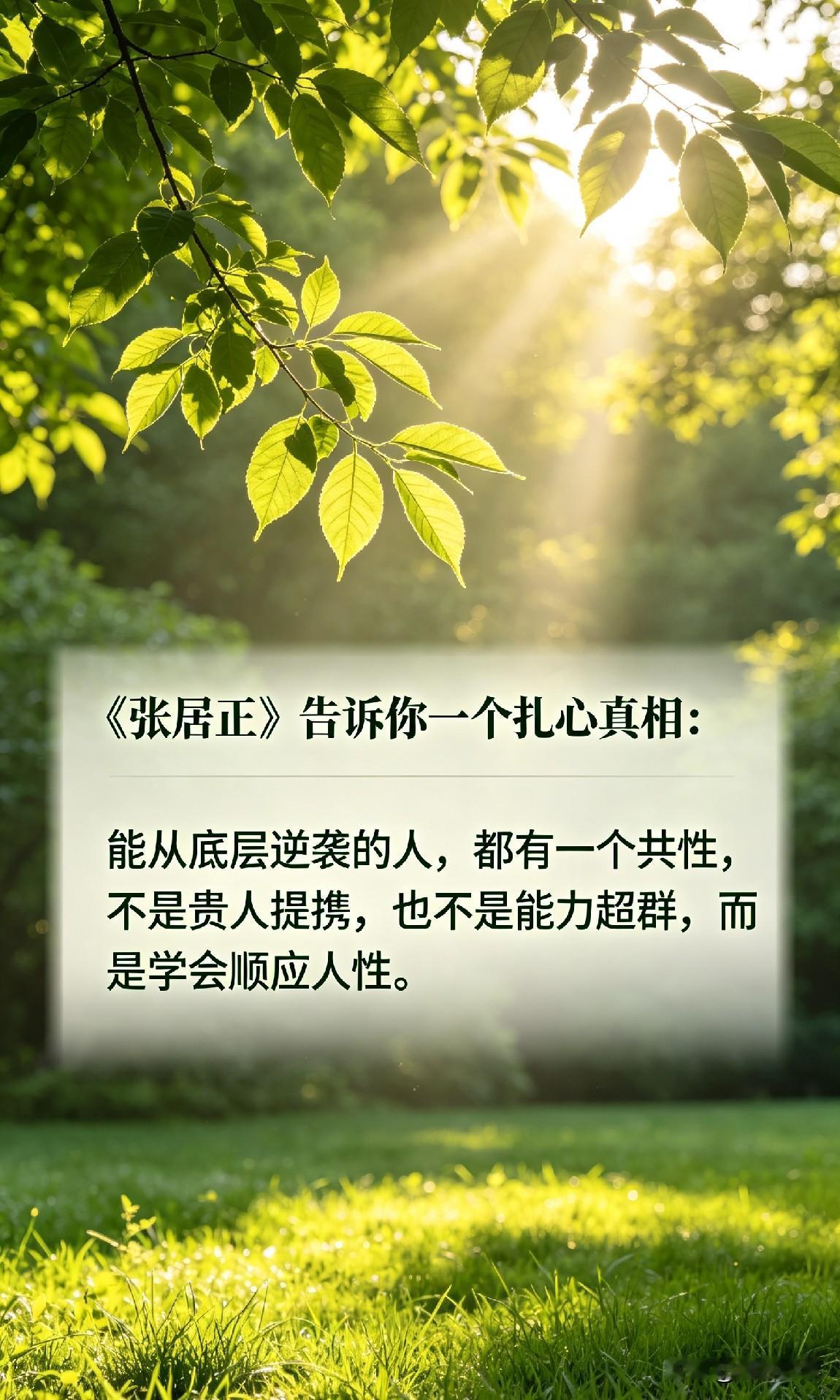 《张居正》告诉你一个扎心真相：能从底层逆袭的人，都有一个共性，不是贵人提携，也不