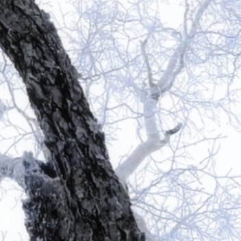 人间熙攘，我却常常觉得置身荒野。那些没说出口的情绪，都悄悄落在风里，散在夜里。不