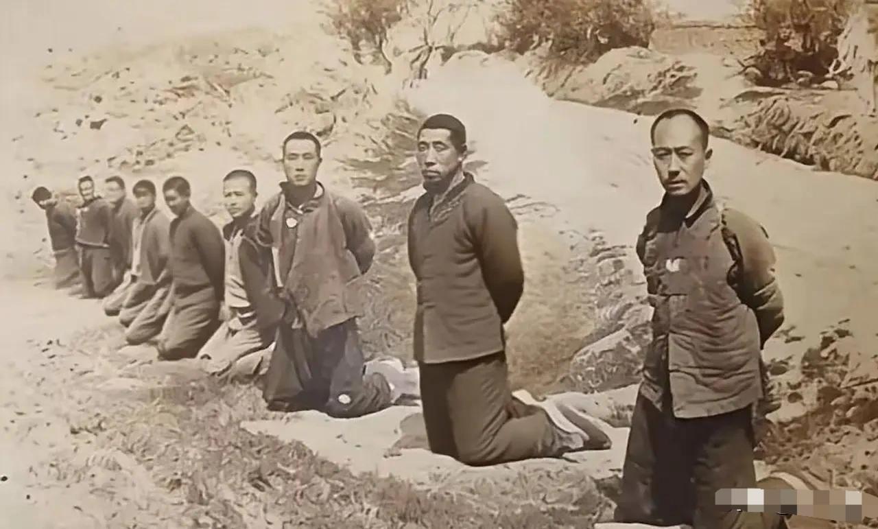 照片中九位英烈是东北抗联的前辈，被日本侵略者集体枪杀。

照片里，九位英烈被反绑