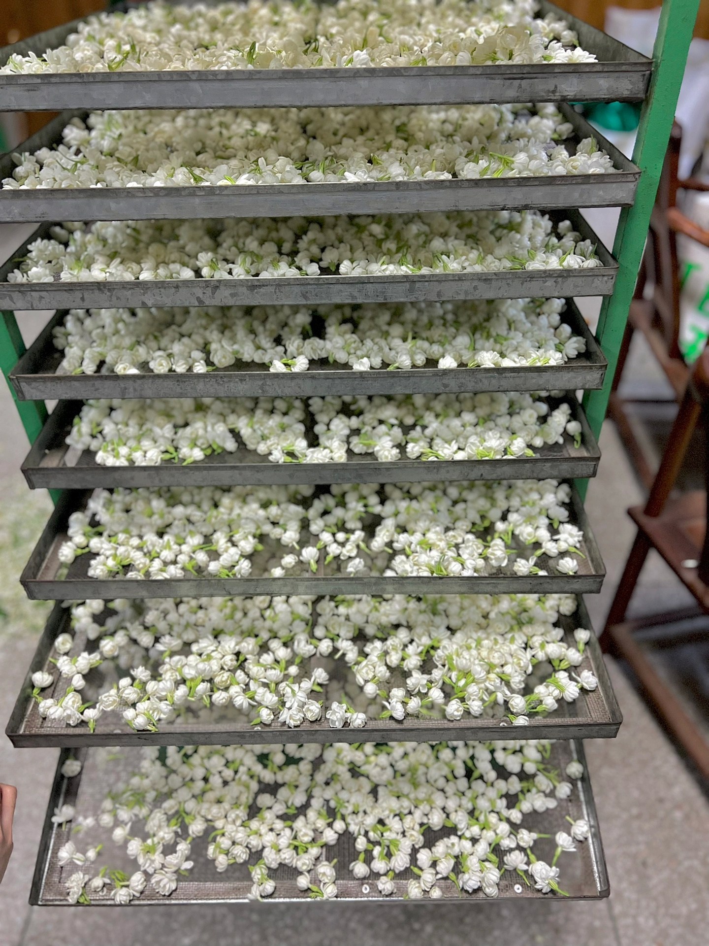 哇 感觉整个夏天都香了！ 