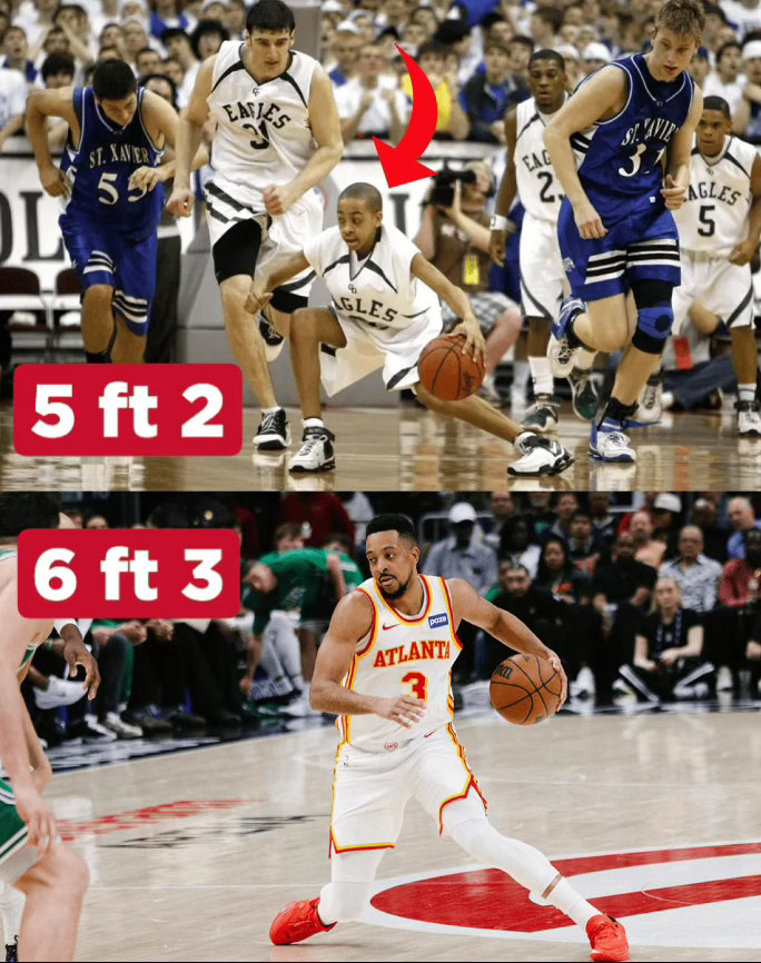 篮天下 麦科勒姆的高一时期vs NBA时期的成长速度与身高变化，身边都是大汉！I