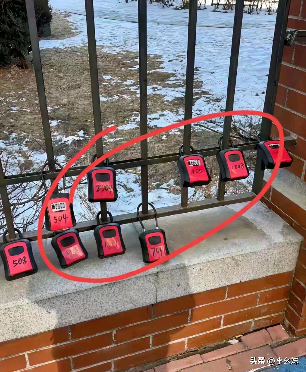 在小区院墙上看到的，这到底是什么东西？有没有认识的朋友帮忙解答一下？