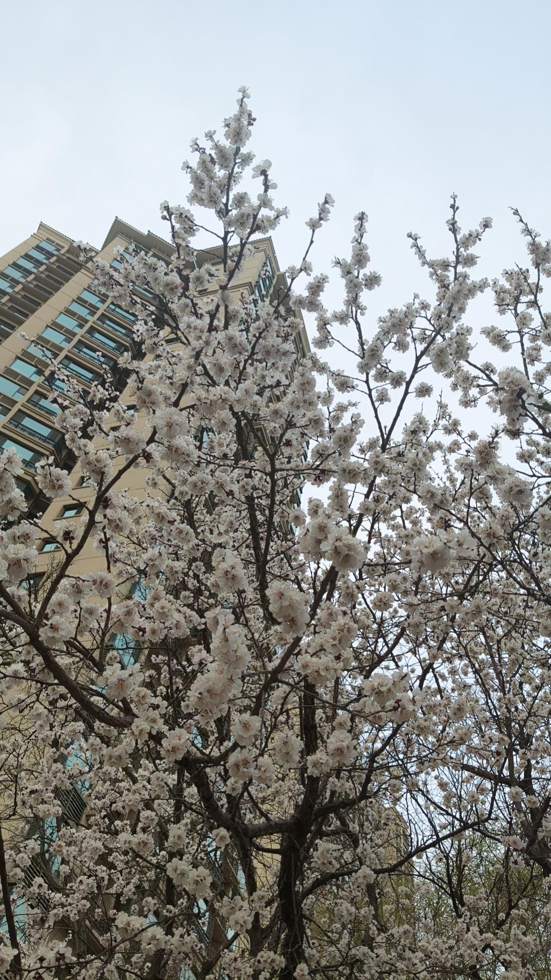 恭喜你！你家孩子今年事业爱情双惊喜，家中喜气挡不住
 
家有喜事，福运自来。刷到