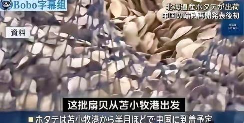 日本媒体爆出猛料，6吨北海道海鲜要运往中国，这年头谁还敢买日本的海鲜，仔细一查原